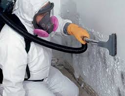 Why You Should Choose Our Mold Remediation Services in Mechanicville, NY